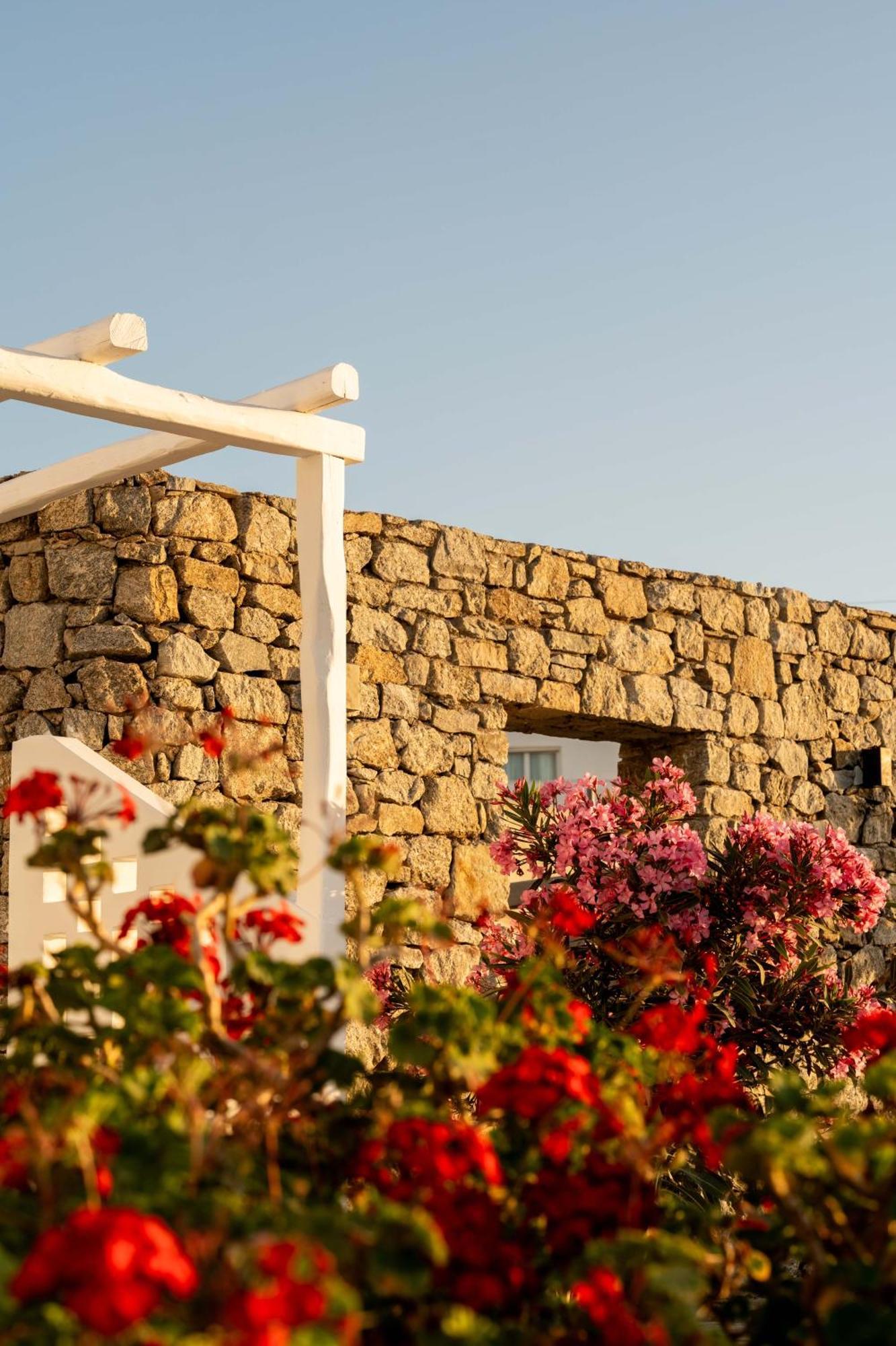 Philosophy Of Mykonos Boutique Hotel Mykonos Town Zewnętrze zdjęcie